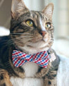 Pet Bow Tie - "Heritage" - Gingham Red White & Blue Plaid Cat Bow / 4th of July, Patriotic, Preppy, Independence Day / For Cats + Small Dogs (One Size)