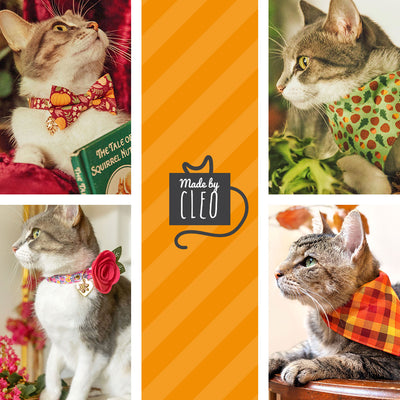 Cat Collar + Flower Set - "Pumpkin Patch - Teal" - Fall Harvest Cat Collar w/ Mint Felt Flower (Detachable)