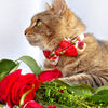 Pet Bow Tie - "Roses" - Red Rose Cat Bow Tie / Valentine's Day, Wedding, Floral / For Cats + Small Dogs (One Size)