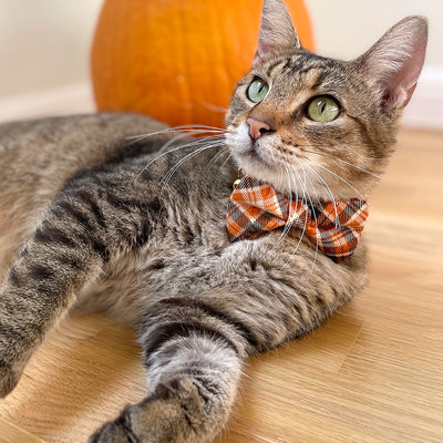 Cat Collar - "Ember" - Black & Orange Plaid Cat Collar / Breakaway Buckle or Non-Breakaway / Cat, Kitten + Small Dog Sizes
