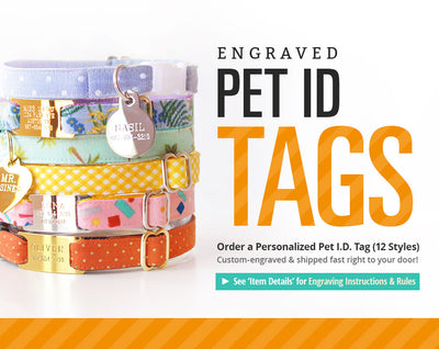 Engraved Pet ID Tag - (12 Styles) - Personalized Tags for Cats, Kittens & Small Dogs