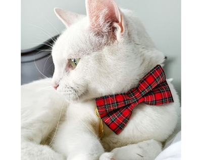 Pet Bow Tie - "Hearthside" - Classic Red Tartan Plaid - Fall / Christmas / Winter - Detachable Bowtie for Cats + Dogs