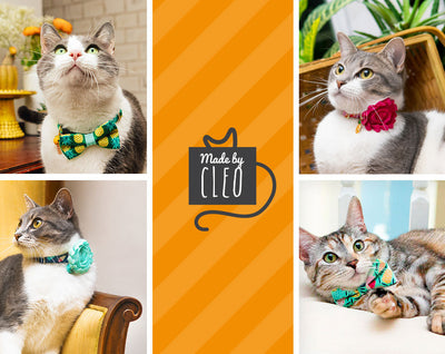 Bow Tie Cat Collar Set - "Color Collection - Baby Blue" - Cat Collar + Matching Bow Tie (Removable)