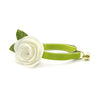 Cat Collar + Flower Set - "Velvet - Apple Green" - Velvet Cat Collar w/ Ivory Felt Flower (Detachable)