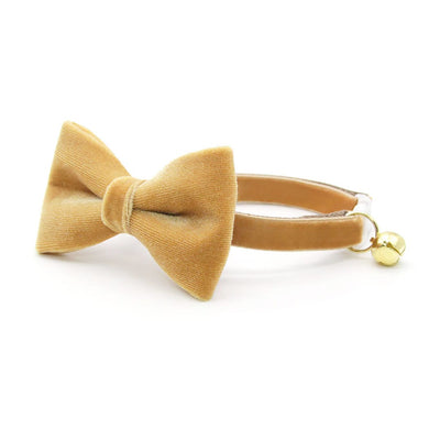 Pet Bow Tie - "Velvet - Caramel" - Light Brown Sugar Gold Velvet Cat Bow Tie / For Cats + Small Dogs (One Size)