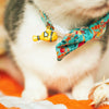 Cat Collar - "Ocean Life" - Aquatic Fish Cat Collar / Summer, Beach, Sea, Marine, Water / Breakaway Buckle or Non-Breakaway / Cat, Kitten + Small Dog Sizes