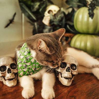 Cat Collar - "Ghostly Gathering" - Halloween Green Ghost Cat Collar / Haunted Graveyard, Cemetery, Skulls / Breakaway Buckle or Non-Breakaway / Cat, Kitten + Small Dog Sizes