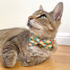 Bow Tie Cat Collar Set - "Breakfast Club" - Bacon, Eggs & Toast Cat Collar w/ Matching Bowtie / Food / Cat, Kitten, Small Dog Sizes