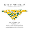 Pet Bandana - "Marigold Morning" - Rifle Paper Co® Bandana for Cat + Small Dog / Spring, Summer, Easter / Slide-on Bandana / Over-the-Collar (One Size)