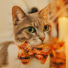 Cat Collar - "Spooky Spiderwebs" - Halloween Glow-in-the-Dark Spider Cat Collar / Breakaway Buckle or Non-Breakaway / Cat, Kitten + Small Dog Sizes