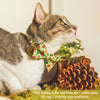 Bow Tie Cat Collar Set - "Woodland - Moss" - Pine Cones & Acorns Forest Green Cat Collar w/ Matching Bowtie / Cat, Kitten, Small Dog Sizes
