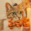 Bow Tie Cat Collar Set - "Spooky Spiderwebs" - Halloween Glow-in-the-Dark Cat Collar w/ Matching Bowtie / Cat, Kitten, Small Dog Sizes