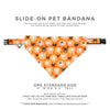 Pet Bandana - "Spooky Spiderwebs" - Halloween Glow-in-the-Dark Bandana for Cat + Small Dog / Slide-on Bandana / Over-the-Collar (One Size)