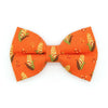 Bow Tie Cat Collar Set - "Corn Maze" - Fall Harvest Cat Collar w/ Matching Bowtie / Autumn + Thanksgiving / Cat, Kitten, Small Dog Sizes
