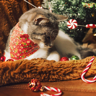 Cat Collar - "Christmas Treats - Red" - Gingerbread Cat Collar / Breakaway Buckle or Non-Breakaway / Cat, Kitten + Small Dog Sizes