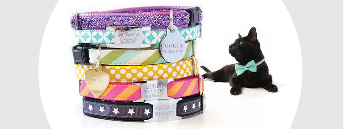 The Importance of Pet ID Tags