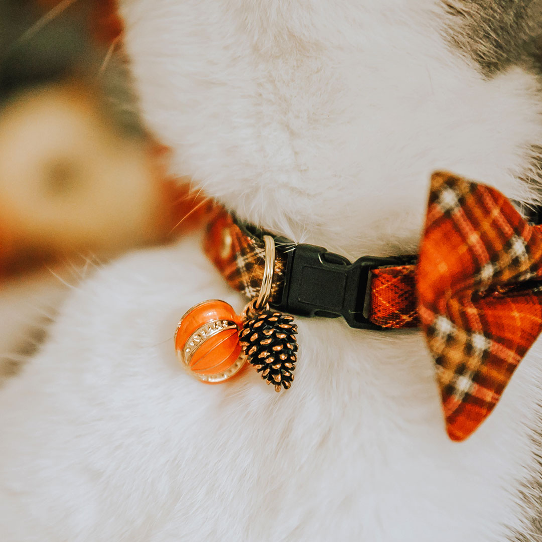 Pet Collar Charms - "Holiday & Seasonal" - For Cat Collars & Small Dog Collars