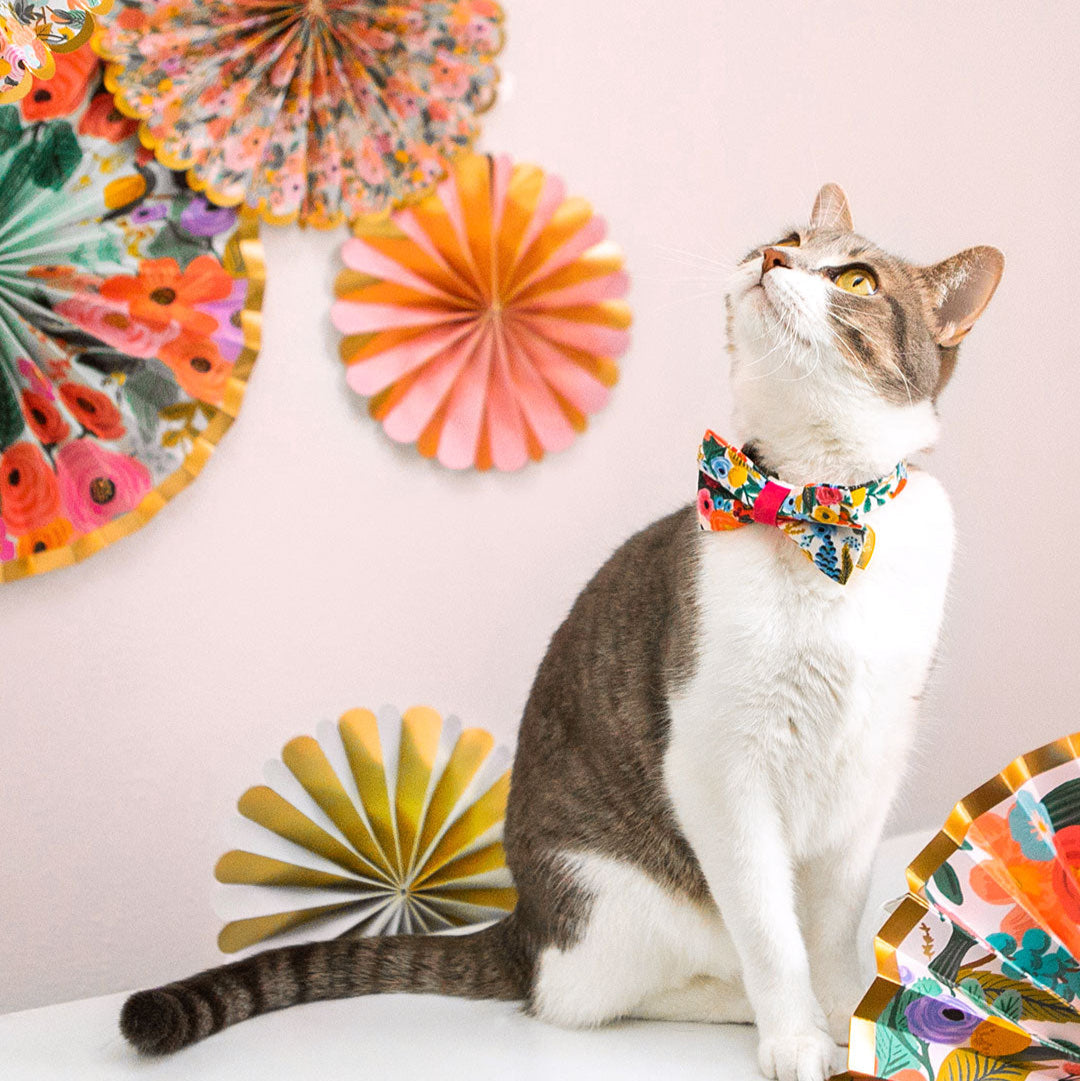 Rifle Paper Co® Cat Collar - "Garden Party" - Floral Cat Collar / Breakaway Buckle or Non-Breakaway / Cat, Kitten + Small Dog Sizes