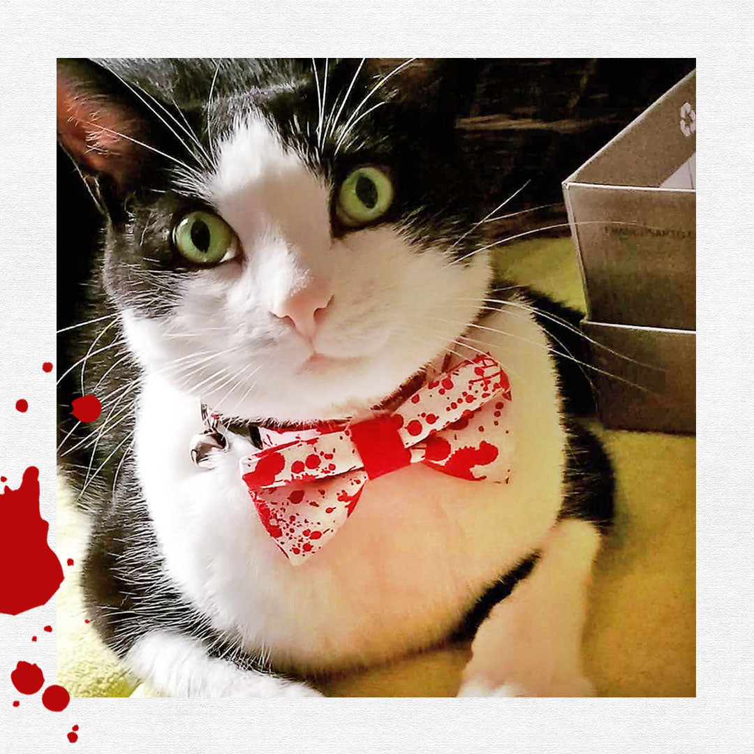 Horror Fan Cat Bow Tie - "Dexter" - Halloween / Horror Movie / American Psycho Cat Collar Bow Tie / Kitten Bow Tie / Small Dog Bow Tie - Removable (One Size)