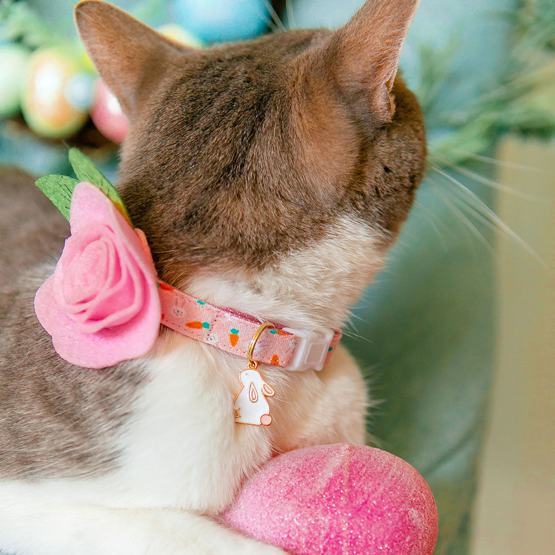 Pet Collar Charms - "Holiday & Seasonal" - For Cat Collars & Small Dog Collars