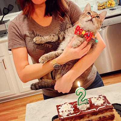 Birthday Cat Bow Tie - "Birthday Candles" - Red Party Bowtie / For Cats + Small Dogs / Removable (One Size)