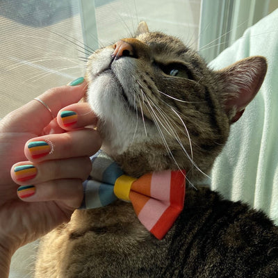 Cat Collar - "Carousel" - Striped Rainbow Cat Collar / Birthday, LGBTQ, Summer / Breakaway Buckle or Non-Breakaway / Cat, Kitten + Small Dog Sizes