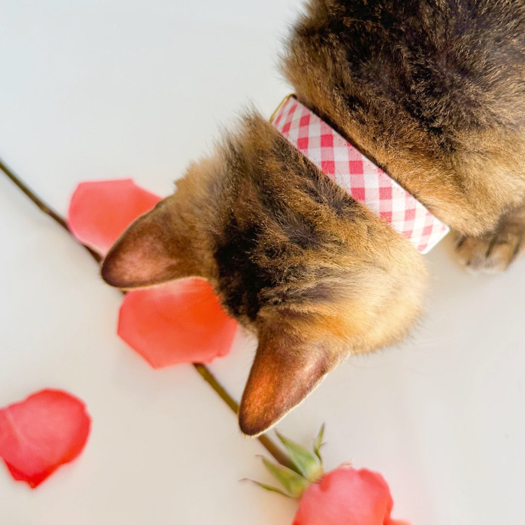 Bow Tie Cat Collar Set - "Coquette" - Pink Gingham Cat Collar w/ Matching Bowtie / Spring, Easter, Wedding / Cat, Kitten, Small Dog Sizes