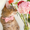 Cat Collar - "Coquette" - Gingham Pink Cat Collar / Spring, Easter, Summer / Breakaway Buckle or Non-Breakaway / Cat, Kitten + Small Dog Sizes