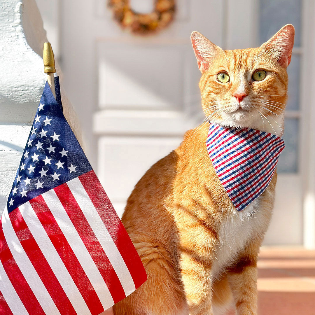Cat Collar - "Heritage" - Gingham Red White & Blue Plaid Cat Collar / Patriotic, Independence Day, 4th of July / Breakaway Buckle or Non-Breakaway / Cat, Kitten + Small Dog Sizes