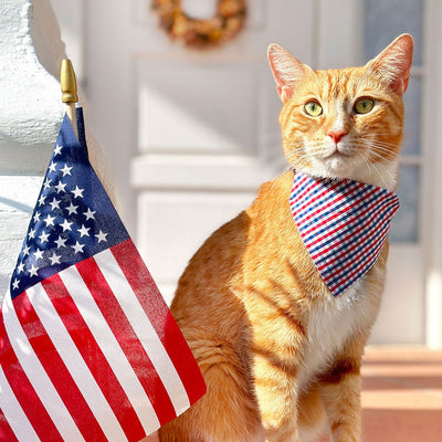 Cat Collar - "Heritage" - Gingham Red White & Blue Plaid Cat Collar / Patriotic, Independence Day, 4th of July / Breakaway Buckle or Non-Breakaway / Cat, Kitten + Small Dog Sizes