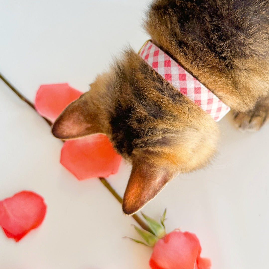 Cat Collar - "Coquette" - Gingham Pink Cat Collar / Spring, Easter, Summer / Breakaway Buckle or Non-Breakaway / Cat, Kitten + Small Dog Sizes