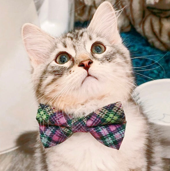 Cat Collar - "Morgan Le Fey" - Purple Plaid Cat Collar / Breakaway Buckle or Non-Breakaway / Cat, Kitten + Small Dog Sizes