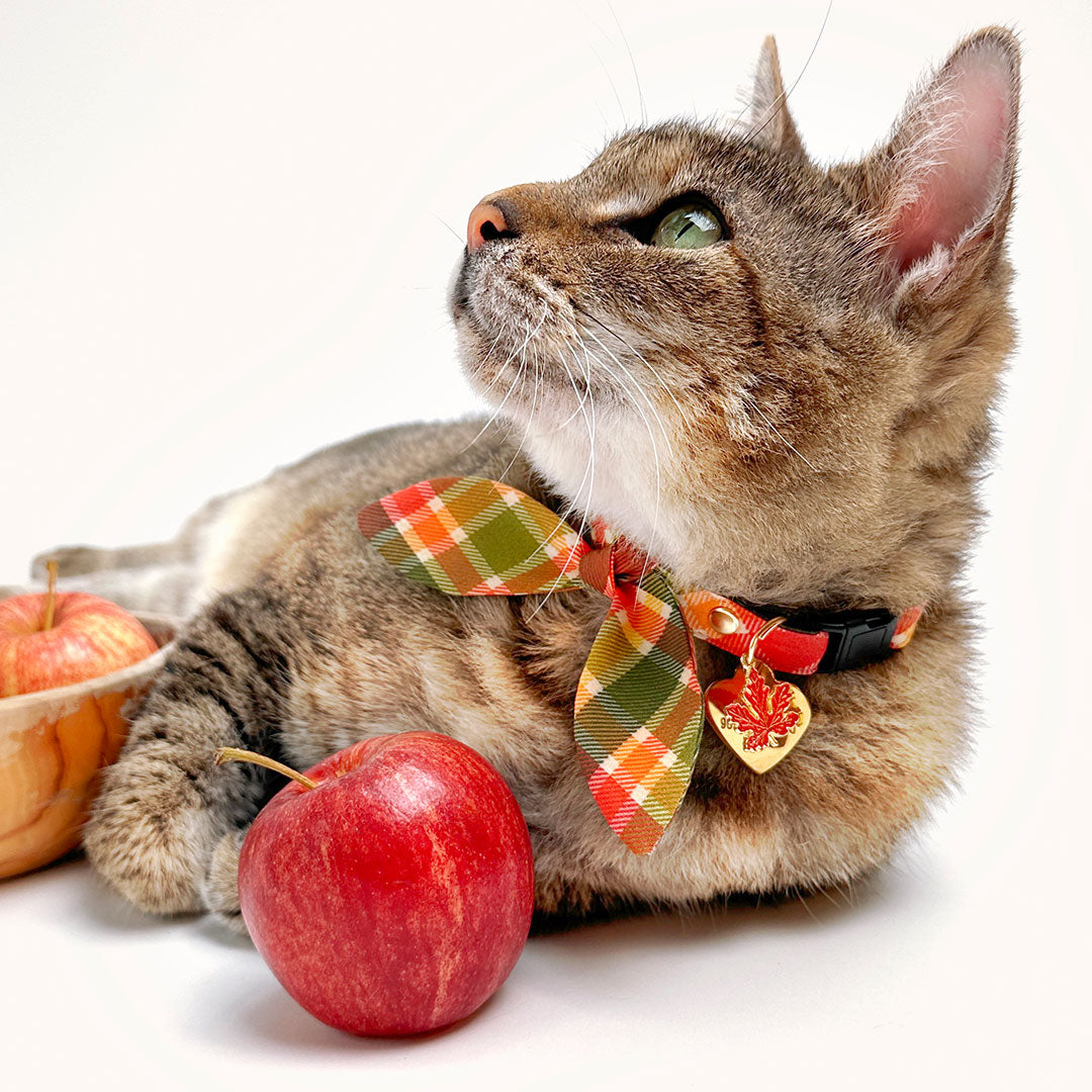 Cat Collar & Bunny Ear Bow Set - "Apple Crisp" - Red Yellow & Green Plaid Cat Collar w/ Matching Bunny Bow Tie / Fall + Thanksgiving / Cat, Kitten + Small Dog Sizes