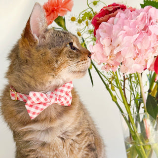 Bow Tie Cat Collar Set - "Coquette" - Pink Gingham Cat Collar w/ Matching Bowtie / Spring, Easter, Wedding / Cat, Kitten, Small Dog Sizes - Kitten (6-10) / Breakaway / Gold