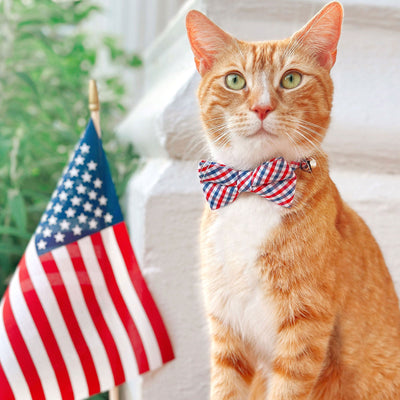 Cat Collar - "Heritage" - Gingham Red White & Blue Plaid Cat Collar / Patriotic, Independence Day, 4th of July / Breakaway Buckle or Non-Breakaway / Cat, Kitten + Small Dog Sizes