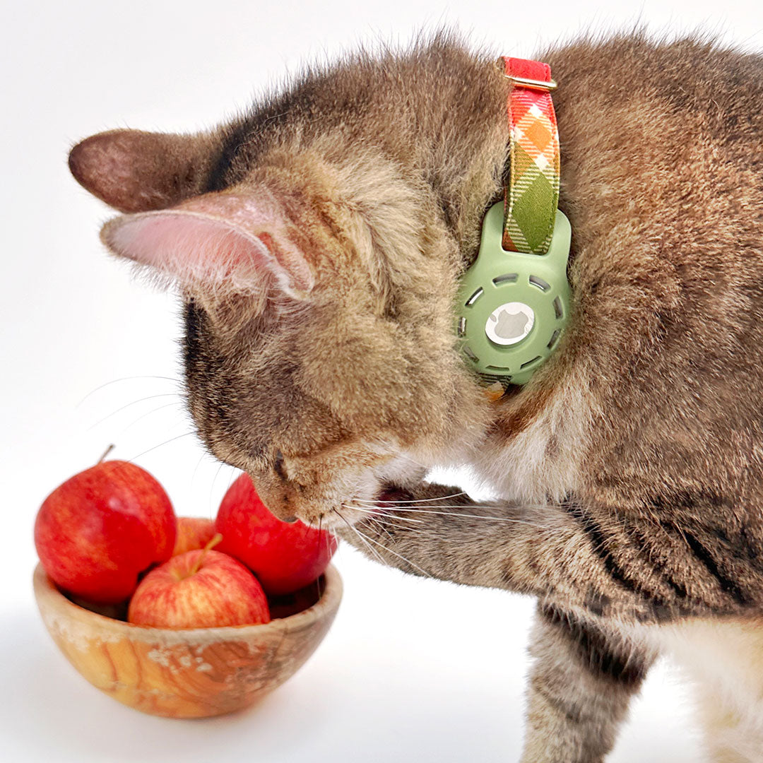 AirTag® Holder for Small Pet Collars (15 Colors) - Sized for Cats + Small Dogs