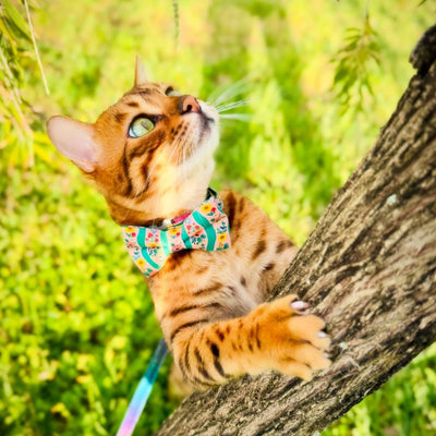 Rifle Paper Co® Cat Collar - "Arbor Rose" - Pink & Green Floral Cat Collar / Spring, Summer, Garden Lover / Breakaway Buckle or Non-Breakaway / Cat, Kitten + Small Dog Sizes