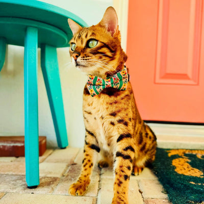 Rifle Paper Co® Cat Collar - "Arbor Rose" - Pink & Green Floral Cat Collar / Spring, Summer, Garden Lover / Breakaway Buckle or Non-Breakaway / Cat, Kitten + Small Dog Sizes