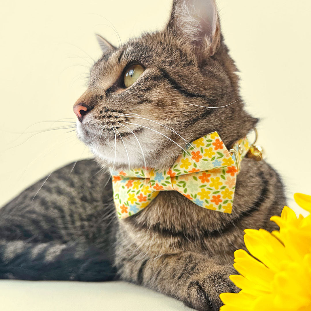 Pet Bandana - "Aurora" - Yellow Floral Bandana for Cat + Small Dog / Wedding, Spring, Fall / Slide-on Bandana / Over-the-Collar (One Size)
