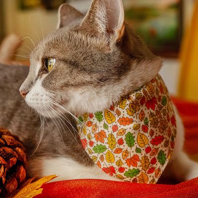 Fall Cat Bandana - "Autumn Aura" - Oak & Maple Leaf Bandana for Cat + Small Dog / Thanksgiving, Rustic / Slide-on Bandana / Over-the-Collar