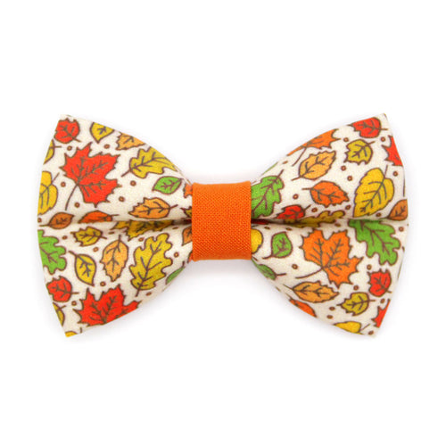 Fall Cat Bow Tie - "Autumn Aura" - Oak & Maple Leaf Bow Tie for Cat Collar / Thanksgiving, Nature, Rustic / Cat, Kitten + Small Dog Bowtie