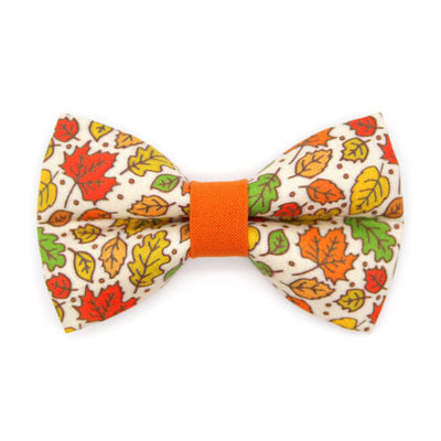 Fall Bow Tie Cat Collar Set - "Autumn Aura" - Oak & Maple Leaf Cat Collar with Bow Tie / Autumn, Thanksgiving / Cat, Kitten, Small Dog Sizes