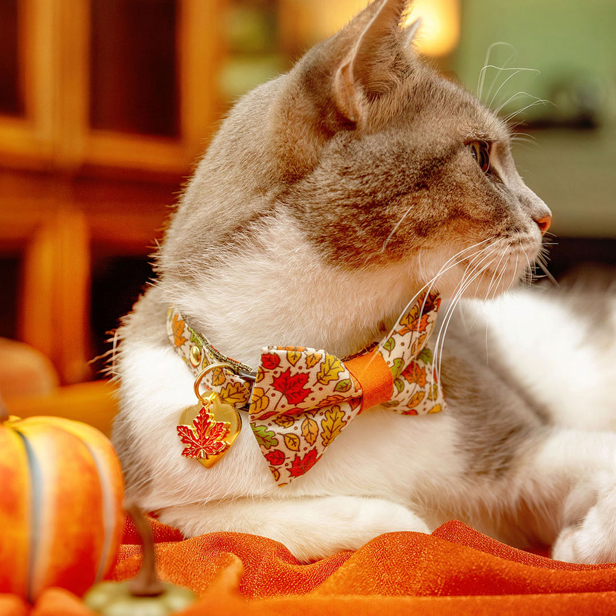 Fall Bow Tie Cat Collar Set - "Autumn Aura" - Oak & Maple Leaf Cat Collar with Bow Tie / Autumn, Thanksgiving / Cat, Kitten, Small Dog Sizes