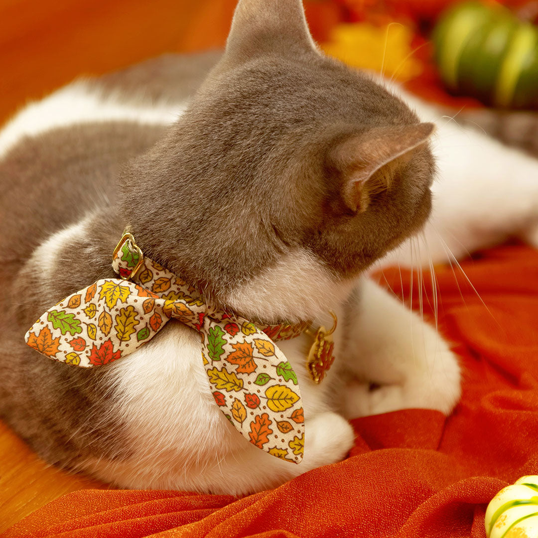 Cat Collar & Bunny Ear Bow Set - "Autumn Aura" - Rustic Maple Leaf Fall Cat Collar w/ Matching Bunny Bow Tie / Thanksgiving / Tie-On Scarf / Cat, Kitten + Small Dog Sizes
