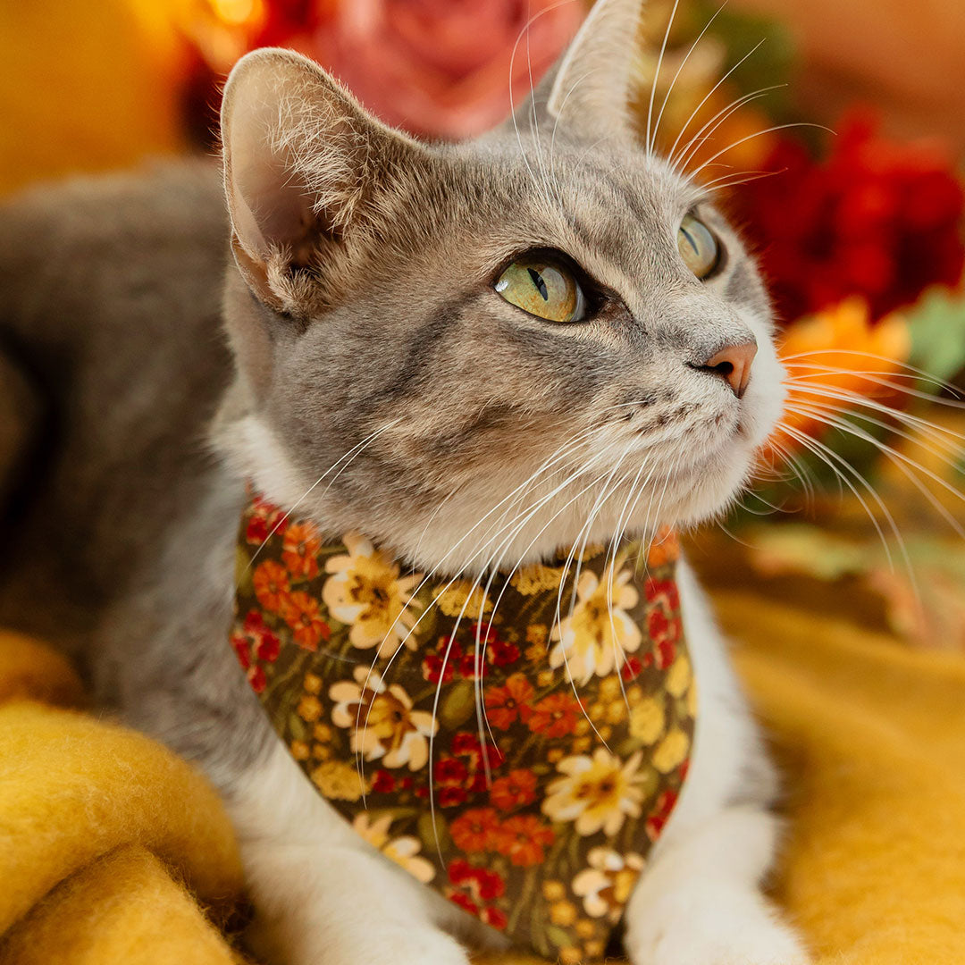 Wildflower Cat Collar - "Autumn Fields" - Olive Green Rustic Floral Cat Collar / Fall + Thanksgiving / Breakaway Buckle or Non-Breakaway / Cat, Kitten + Small Dog Sizes