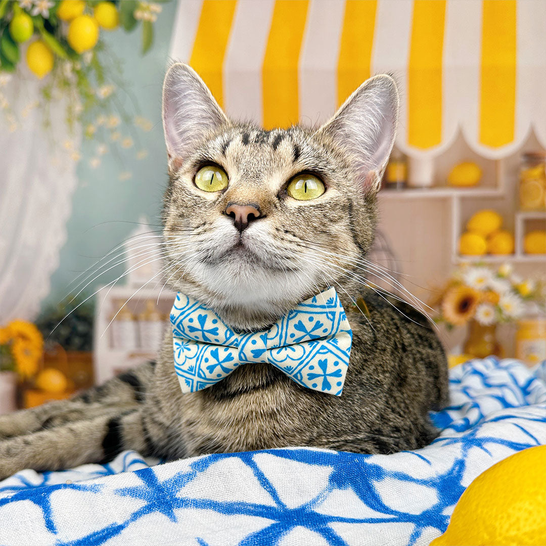 Blue Cat Collar - "Azulejos" - Mediterranean Cat Collar / Elegant, Summer, Portuguese, Spanish, Greek / Breakaway Buckle or Non-Breakaway / Cat, Kitten + Small Dog Sizes