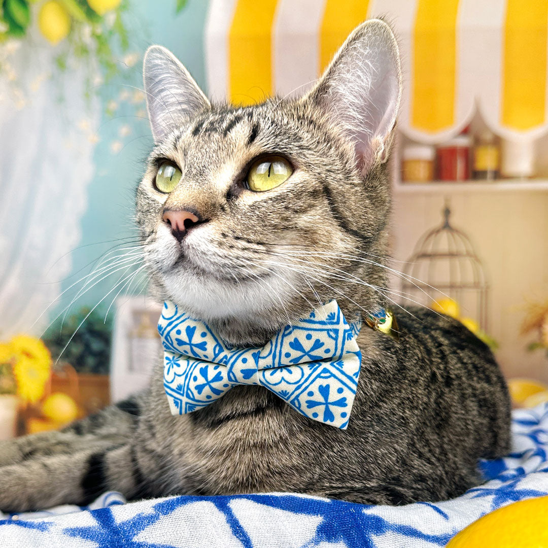 Blue Bow Tie Cat Collar Set - "Azulejos" - Mediterranean Cat Collar with Bow Tie / Summer, Spanish, Greek / Cat, Kitten, Small Dog Sizes