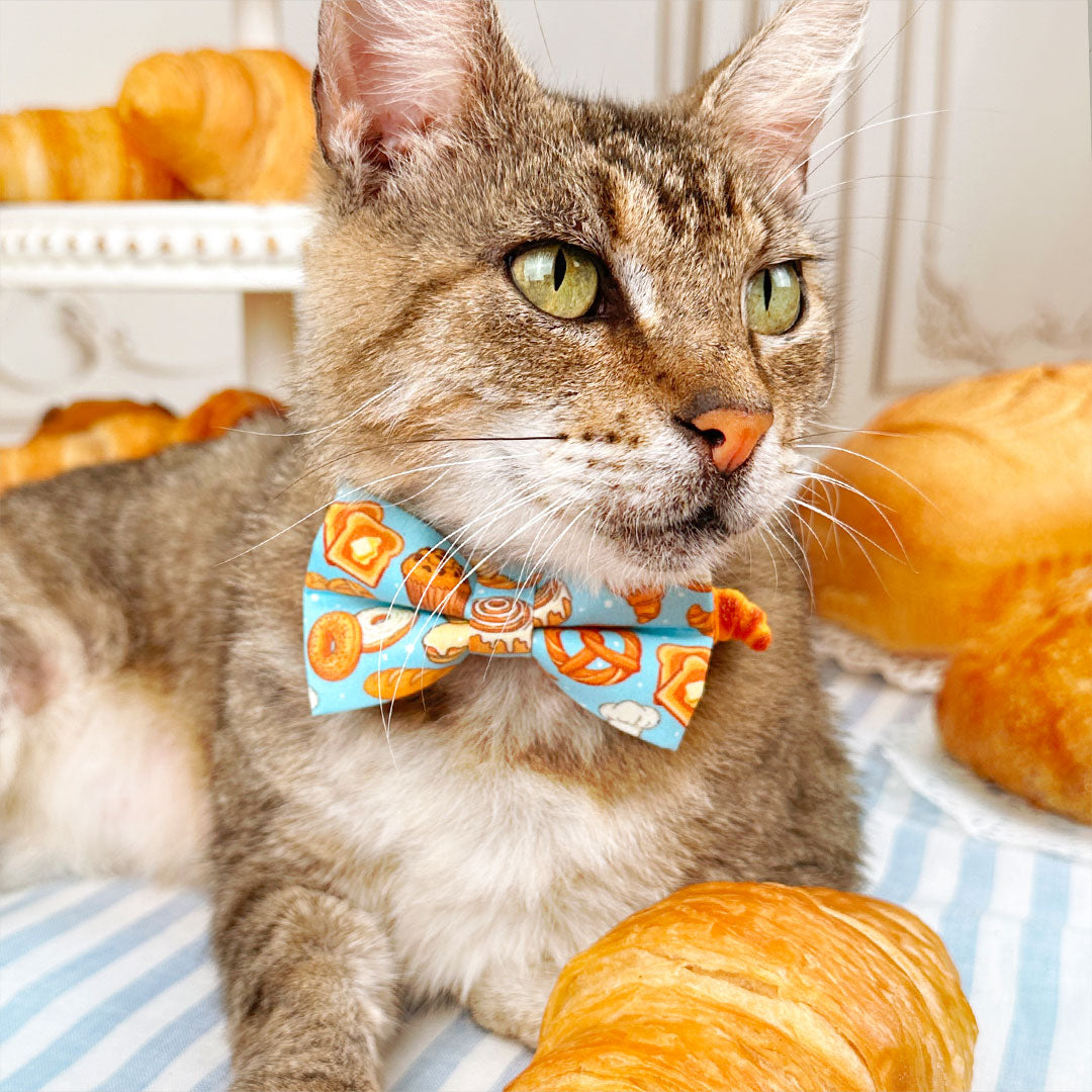 Pet Collar Charms - "Food, Fruits & Sweets" - For Cat Collars & Small Dog Collars