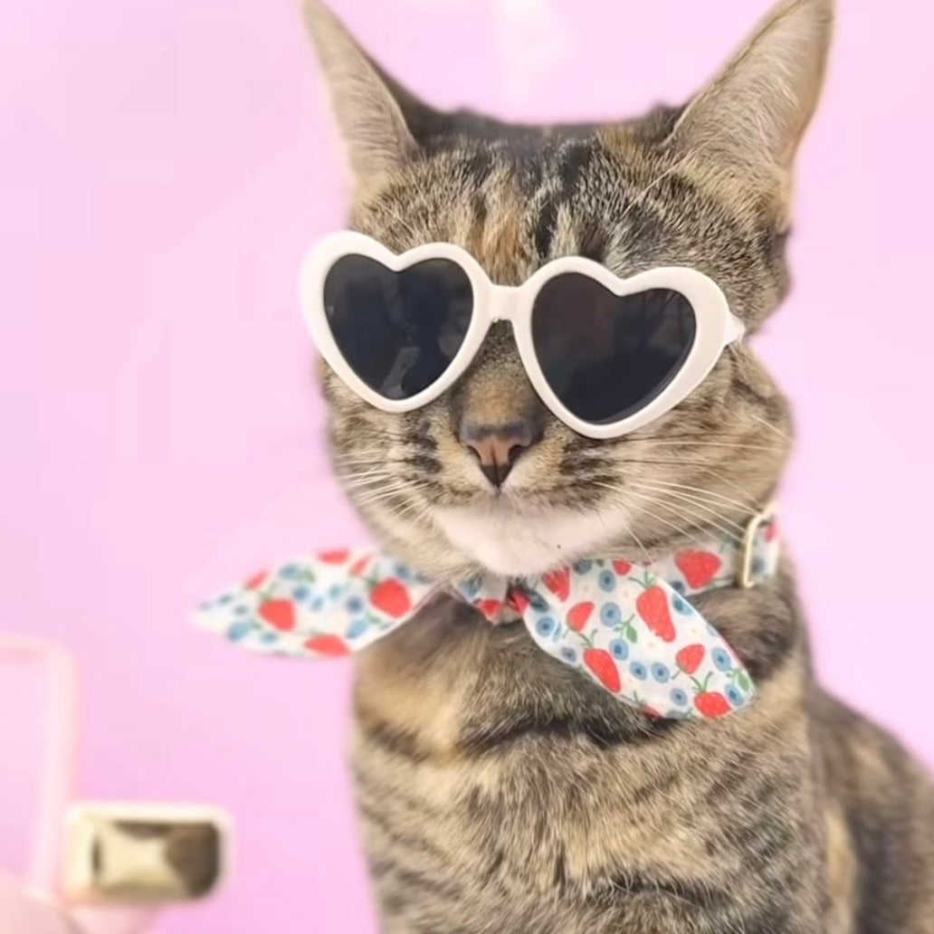 Cat Collar & Bunny Ear Bow Set - "Berry Bramble" - Strawberry & Blueberry Cat Collar w/ Matching Bunny Bow Tie / Summer Fruit, Patriotic, 4th of July, Red & Blue / Cat, Kitten + Small Dog Sizes