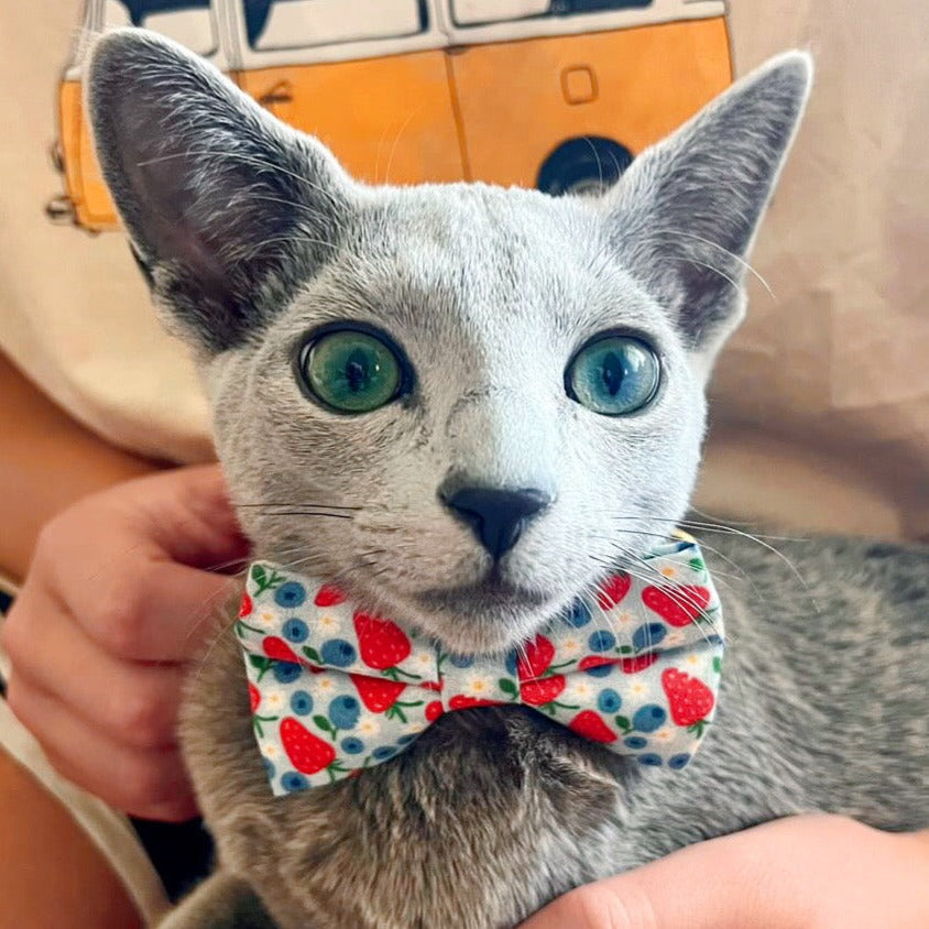 Cat Collar - "Berry Bramble" - Blueberry Cat Collar, Strawberry Blueberries Summer Fruit, Red Blue Patriotic Cat Collar / Breakaway Buckle or Non-Breakaway / Cat, Kitten + Small Dog Sizes